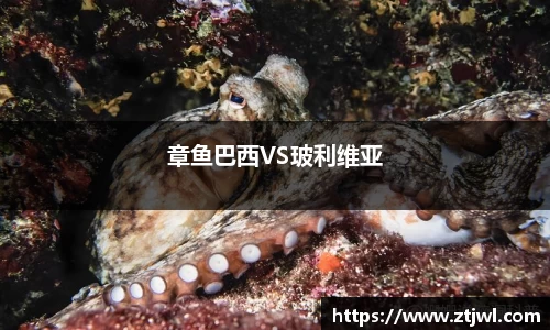 章鱼巴西VS玻利维亚
