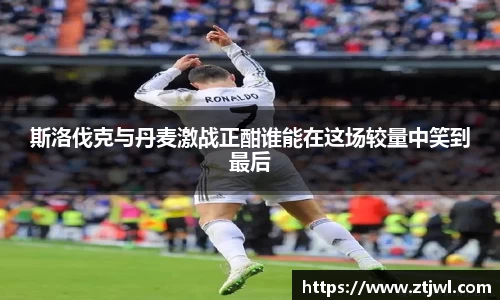 斯洛伐克与丹麦激战正酣谁能在这场较量中笑到最后